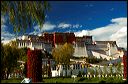 Potala_from_garden