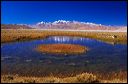 Tibetan_colors