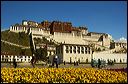 Potala