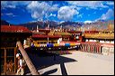 Jokhang_roof